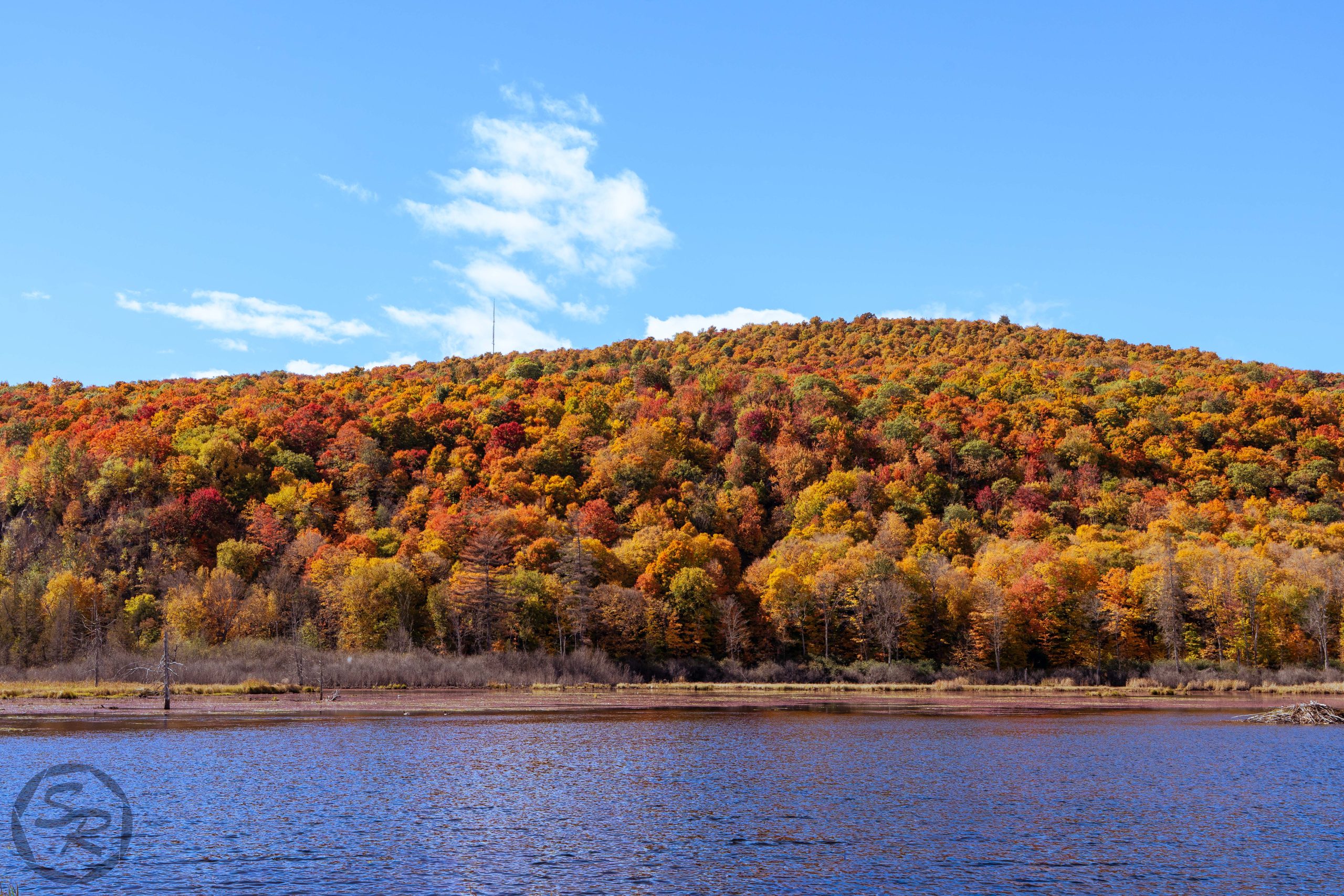 gatineaupark26-ws-4