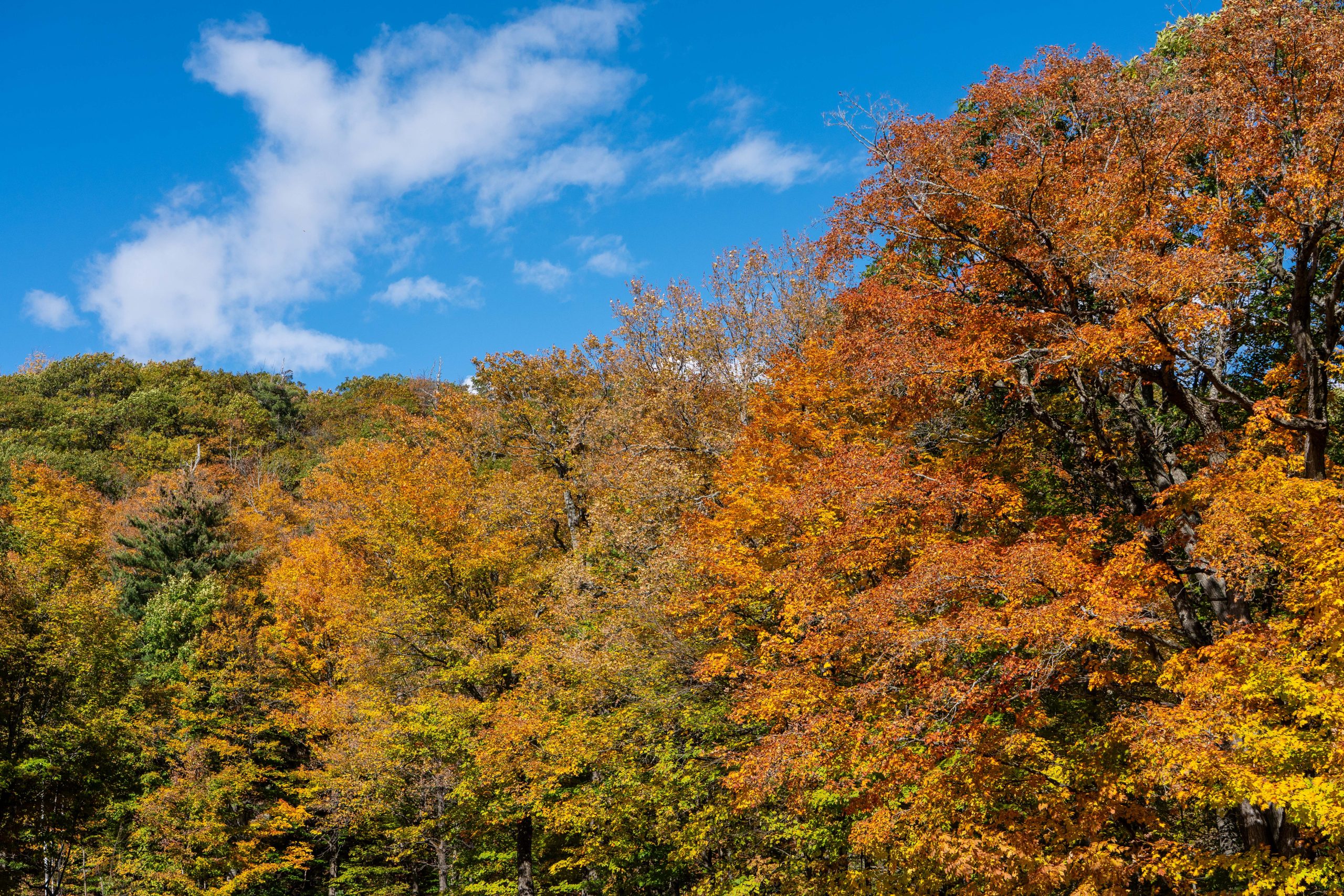 gatineaupark26-ws-6
